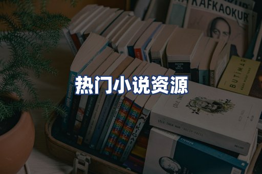 热门小说资源